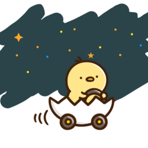 夜の運転（ペーパードライバー講習）