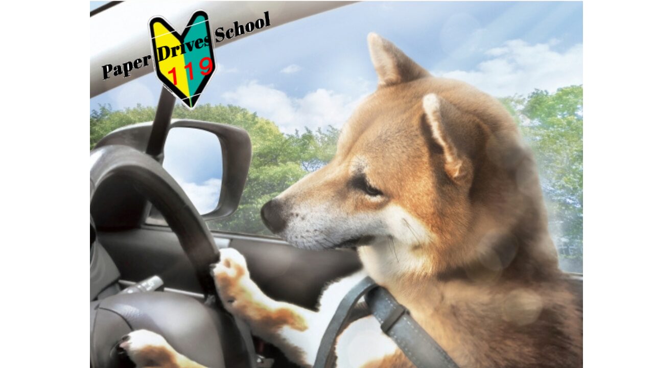 運転席でハンドルを握る柴犬の画像。ハンドルには『Paper Drives School 119』の文字が入った初心者マークのロゴが配置されています。
